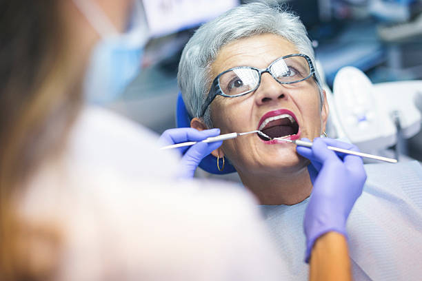  Toluca, IL Dental Services Pros